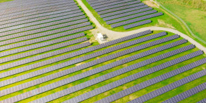 Beitragsbild des Blogbeitrags BirdLife Österreich: PV-Freiflächenanlagen naturverträglich bauen