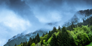 Beitragsbild des Blogbeitrags Klimaschutz-Studie: Institutionelles Versagen und Machtlosigkeit