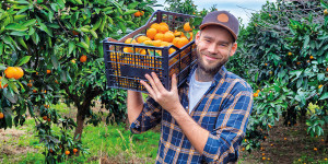 Beitragsbild des Blogbeitrags Crowdfarming: Wie gut die Alternative ist