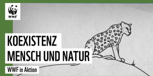 Beitragsbild des Blogbeitrags Koexistenz – Wie Jaguare und Menschen miteinander leben können | WWF Deutschland 