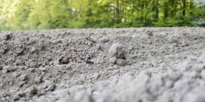 Beitragsbild des Blogbeitrags BioBoden: Ackerland in Biobauern-Hand