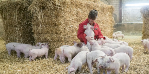 Beitragsbild des Blogbeitrags Bauern im Netz: Online bei Landwirten in der Region einkaufen 