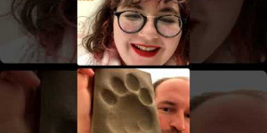 Beitragsbild des Blogbeitrags Stopp Wilderei Weltweit – Insta-Live Talk mit Georg Scattolin vom 9.12.2021 | WWF Österreich
