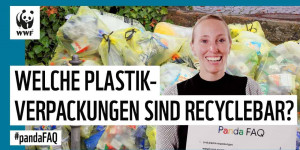 Beitragsbild des Blogbeitrags Sind Plastikverpackungen schädlich? #pandaFAQ mit Laura, Expertin für Wirtschaft & Märkte | WWF Deutschland 