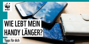 Beitragsbild des Blogbeitrags Neues Handy? So hält es länger | WWF Deutschland 