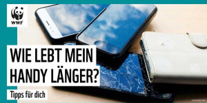 Beitragsbild des Blogbeitrags Neues Handy? So hält es länger | WWF Deutschland