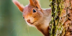 Beitragsbild des Blogbeitrags Hat hier jemand etwas von einer neuen Frisur gesagt?…