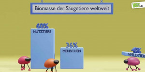 Beitragsbild des Blogbeitrags Wie viele „Nutztiere“ gibt es? | VGT Österreich