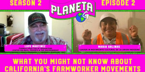 Beitragsbild des Blogbeitrags Was Sie vielleicht nicht über die kalifornische Farmarbeiterbewegung wissen |  Planeta G |  Staffel 2: Folge 2 |  Greenpeace USA 
