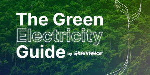 Beitragsbild des Blogbeitrags Einführung in den Ökostrom-Leitfaden |  Greenpeace Australien 