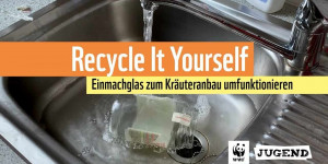Beitragsbild des Blogbeitrags #recycle it yourself – Käuter, Erde, Einmachglas – WWF Jugend | WWF Deutschland