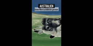 Beitragsbild des Blogbeitrags Grüne Meeresschildkröte gerettet!