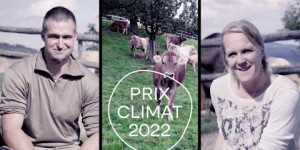 Beitragsbild des Blogbeitrags Mob-Grazing im idyllischen Rickenbach (Prix Climat 2022) | Greenpeace Schweiz 