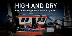 Beitragsbild des Blogbeitrags High & Dry: Wie britische Fischer durch den Brexit ausverkauft wurden |  Greenpeace Großbritannien 