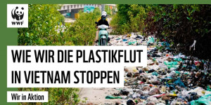 Beitragsbild des Blogbeitrags Modellprojekt in Vietnam für weniger Müll | WWF Deutschland 