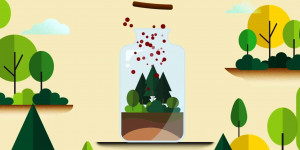 Beitragsbild des Blogbeitrags Deshalb sind Wälder so wichtig für unser Klima | Greenpeace Schweiz 