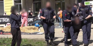 Beitragsbild des Blogbeitrags Kärntner Schweine-Skandal: Protest vor der Landwirtschaftskammer! | VGT Österreich