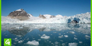 Beitragsbild des Blogbeitrags Schützen Sie die Erde | Greenpeace USA