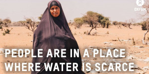 Beitragsbild des Blogbeitrags Ostafrika-Krise: Vieh stirbt an Dürre |  Oxfam GB 