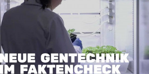 Beitragsbild des Blogbeitrags FAKTENCHECK: Was bringt Neue Gentechnik in der Landwirtschaft?