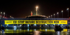 Beitragsbild des Blogbeitrags Greenpeace blockiert Mega-Sojaschiff in niederländischem Hafen | Greenpeace int.