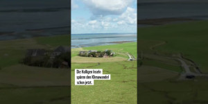 Beitragsbild des Blogbeitrags Die Halligen Inseln spüren die Klimakrise schon jetzt.#shorts #Klimakrise #Deutschland #1,5Grad | WWF Deutschland 
