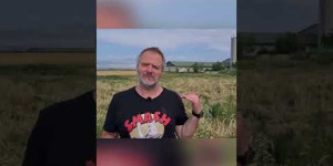 Beitragsbild des Blogbeitrags @Martin Balluch zur #Vollspaltenboden-Aufdeckung! #short | VGT Österreich