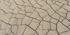 Beitragsbild des Blogbeitrags 2040: Zu spät, der Klimawandel ist nicht mehr aufzuhalten.