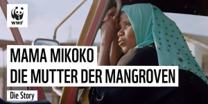 Beitragsbild des Blogbeitrags Frauen im Umweltschutz – Kenias Mangrovenmütter | WWF Deutschland