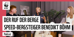 Beitragsbild des Blogbeitrags Der Ruf der Berge – Speed-Ski-Bergsteiger Benedikt Böhm | WWF Podcast #ÜberLeben | WWF Deutschland 