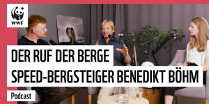 Beitragsbild des Blogbeitrags Der Ruf der Berge – Speed-Ski-Bergsteiger Benedikt Böhm | WWF Podcast #ÜberLeben | WWF Deutschland