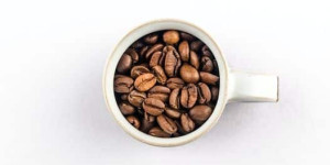 Beitragsbild des Blogbeitrags Mittlerweile gibt es in den heimischen Regalen FAIRTRADE-Kaffees in allen Preis… 