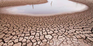 Beitragsbild des Blogbeitrags Nach foodwatch-Kritik: Rewe stoppt umstrittene Klimawerbung