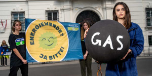 Beitragsbild des Blogbeitrags GLOBAL 2000-Analyse: Energieversorger wie die EVN und die Wirtschaftskammer blockieren Umstellung von Gasheizungen