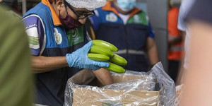 Beitragsbild des Blogbeitrags Explodierende Produktionskosten: FAIRTRADE erhöht Bananen-Preise 
