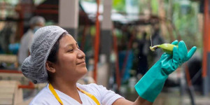 Beitragsbild des Blogbeitrags Fanny, Samuel Elsie und Betty geben unserer FAIRTRADE Bananen Challenge ein Gesi…