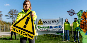 Beitragsbild des Blogbeitrags Neue Gentechnik: Zwei Biotech-Giganten gefährden unsere Ernährung | Global 2000