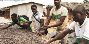 Beitragsbild des Blogbeitrags Steigende Schokolade-Nachfrage im Advent: FAIRTRADE macht einen realen Unterschied