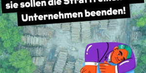 Beitragsbild des Blogbeitrags Am Donnerstag treffen sich die EU-Minister in Brüssel, um eine wichtige Entschei…
