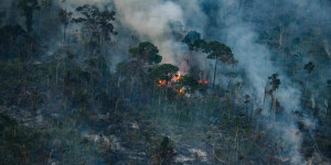 Beitragsbild des Blogbeitrags Die Verwüstung des Amazonas-Regenwaldes markiert das Ende der Regierung Bolsonaro | Greenpeace int. 