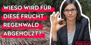 Beitragsbild des Blogbeitrags Palmöl: Schuld an Landraub und Abholzung? | Wir müssen reden. Public Eye spricht Klartext