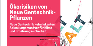 Beitragsbild des Blogbeitrags Ökologische Risiken: neue Gentechnik in Landwirtschaft reguliert halten! | Global 2000