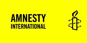 Beitragsbild des Blogbeitrags Amnesty-Kritik an Regierungsvorhaben für Ermittlungsstelle bei Polizeigewalt: Unabhängigkeit nicht sichergestellt 