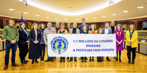 Beitragsbild des Blogbeitrags Europäische Kommission antwortet auf EBI „Bienen und Bauern retten“ | Global 2000 