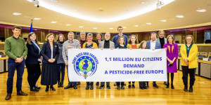Beitragsbild des Blogbeitrags Europäische Kommission antwortet auf EBI „Bienen und Bauern retten“ | Global 2000