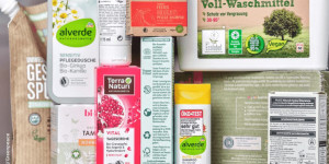 Beitragsbild des Blogbeitrags Zwei Drittel der Putzmittel überflüssig | Greenpeace