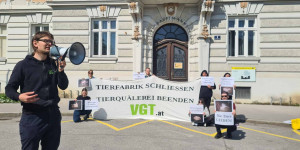 Beitragsbild des Blogbeitrags Erfolg: Tierhaltungsverbot für St. Pöltner Skandalbauern | VGT 