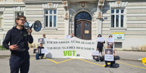 Beitragsbild des Blogbeitrags Erfolg: Tierhaltungsverbot für St. Pöltner Skandalbauern | VGT