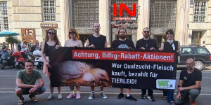 Beitragsbild des Blogbeitrags VGT startet Masthuhn-Informationskampagne