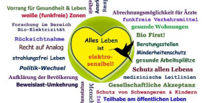 Beitragsbild des Blogbeitrags Internationale E(H)S-Wochen 6. – 26 . Juni 23